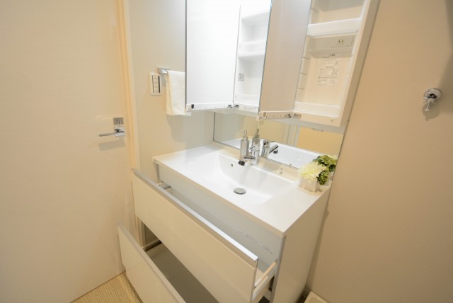 カーサ第二蒲田 洗面