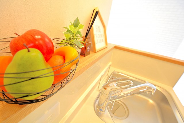 パレス三條 キッチン