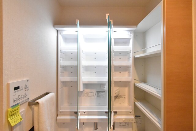 コスモ二子玉川 洗面室