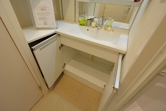 ライオンズマンション上北沢502号室 洗面 (3)