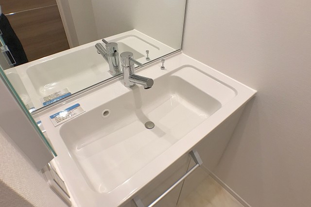 ラフィネ東銀座 洗面