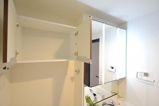 クレッセント池尻大橋 洗面