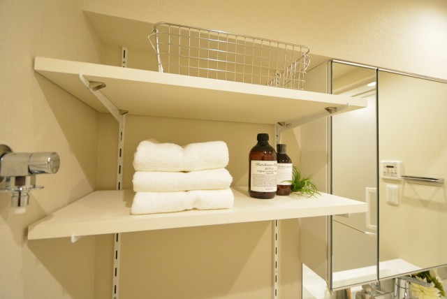 ライオンズマンション小石川植物園 洗面室