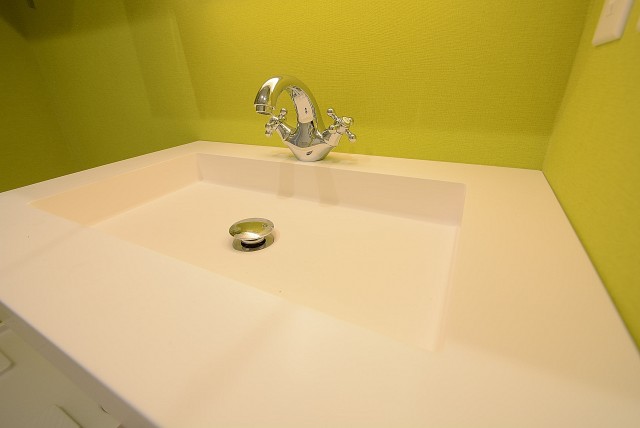 メガロン大井町 洗面