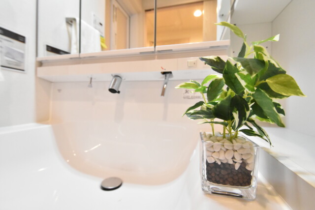 コスモ二子玉川 洗面室