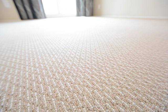 メガロン大井町 洋室