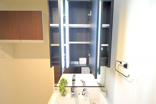 クレッセント池尻大橋 洗面