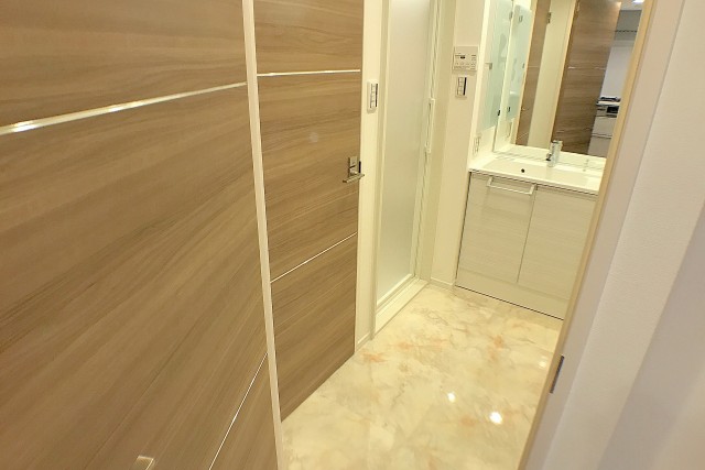 ラフィネ東銀座 洗面