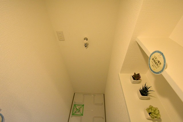 パールハイツ桜上水 洗面