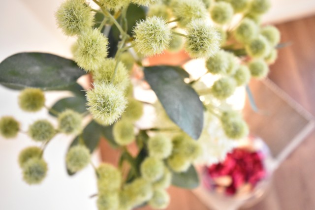 マイキャッスル大井町Ⅱ 洋室1