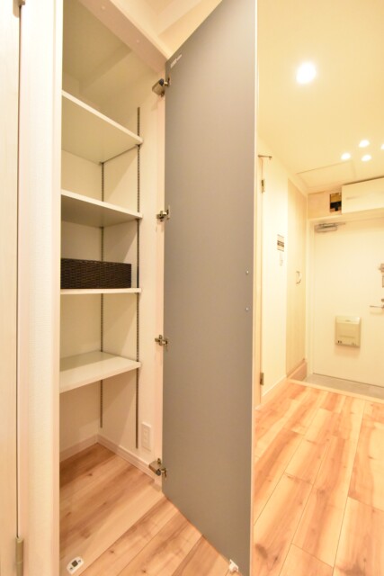 コスモ二子玉川 玄関