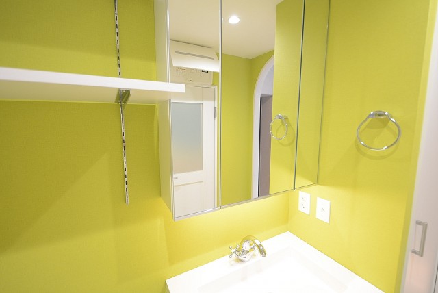 メガロン大井町 洗面