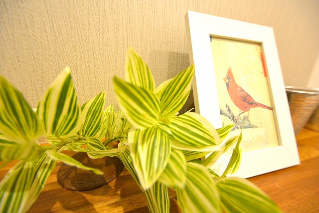 世田谷三宿サンハイツ　