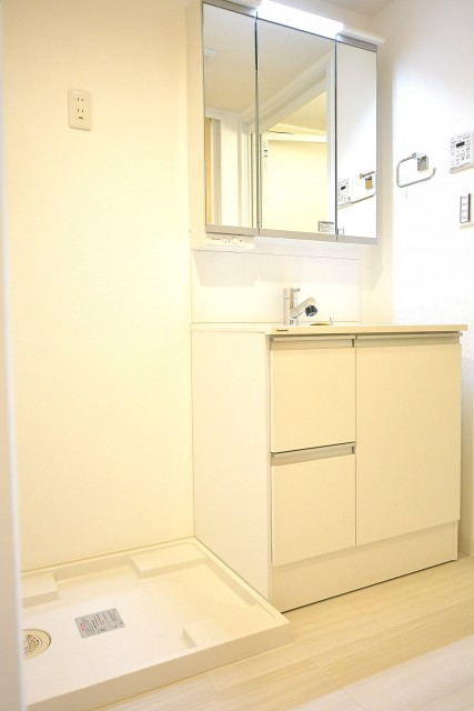 大井町ハイツ　洗面化粧台と洗濯機置き場