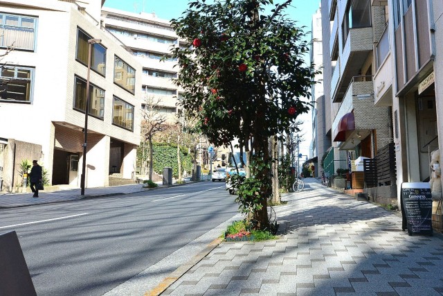 桔梗ハイツ一番町　前面道路