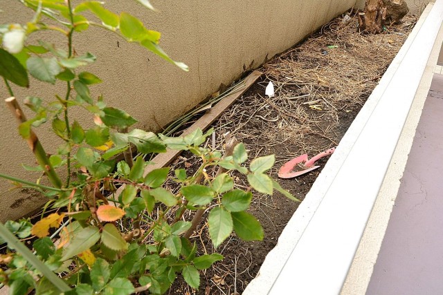 明大前フラワーマンション　バルコニー