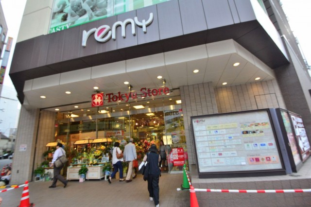 ダイアパレス西五反田　駅ビル