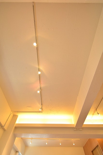 日興パレス南麻布第　LDK天井