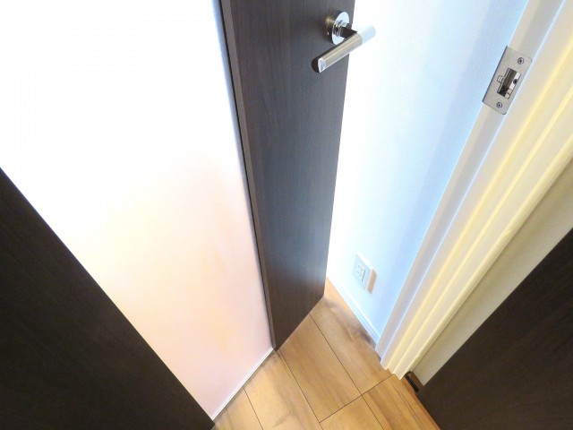 ソフトタウン晴海　リビングダイニング扉