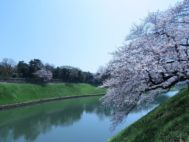 桔梗ハイツ一番町　千鳥ヶ淵