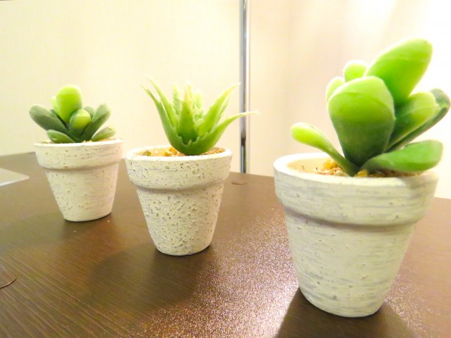 第23宮庭マンション　