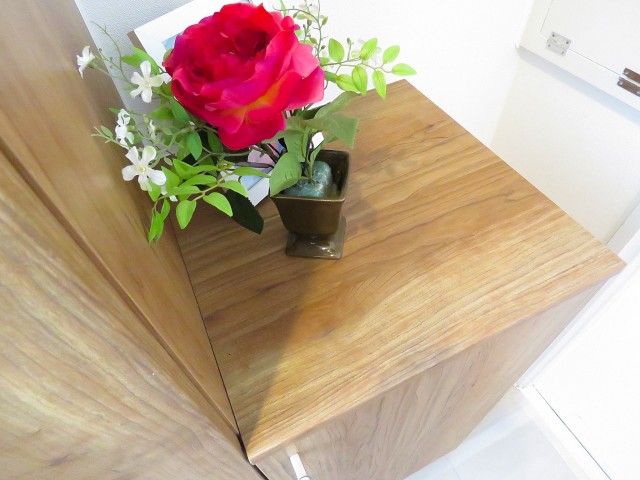 ハイネス大久保　シューズＢＯＸのカウンター部分