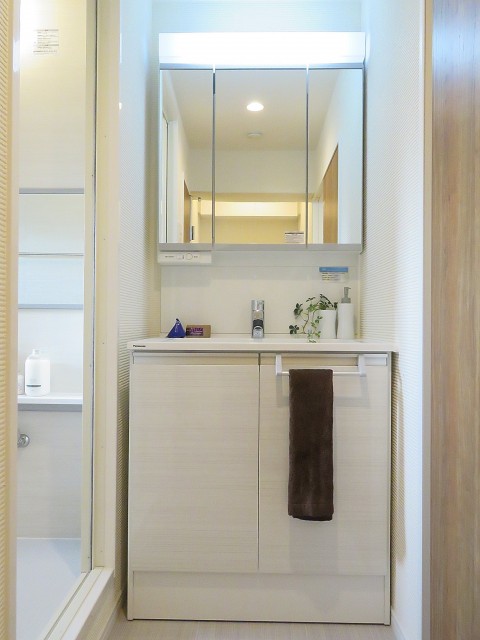 ハイネス大久保　洗面化粧台