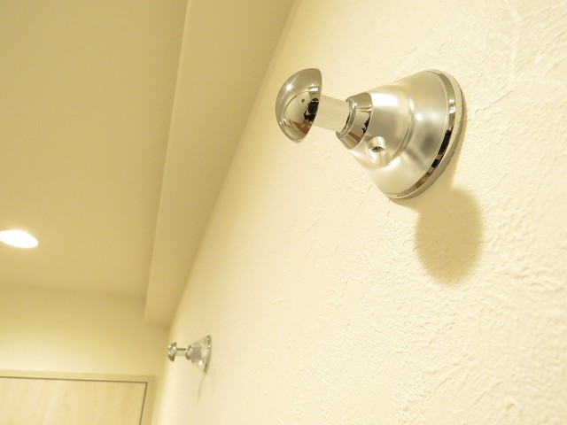 ライオンズマンション元麻布　フック