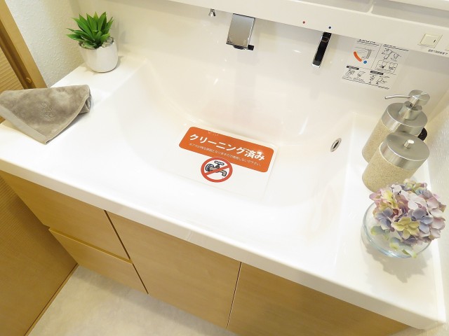 目白ハイツ　洗面ボウル