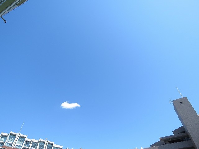 目白ハイツ　眺望