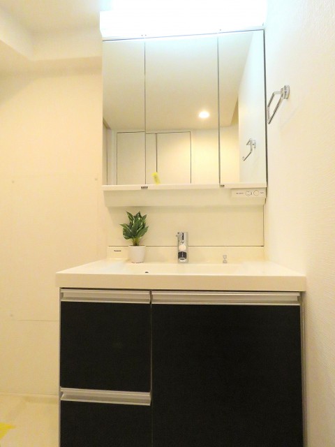 菱和パレス若松町　洗面化粧台