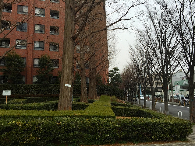 弦巻ハイツ　周辺環境