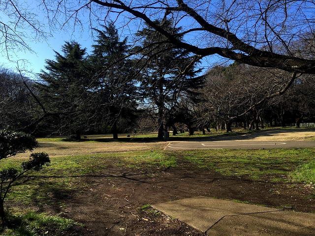 ハイホーム砧公園　周辺環境