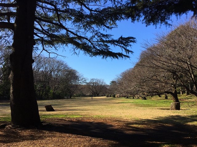 ハイホーム砧公園　周辺環境