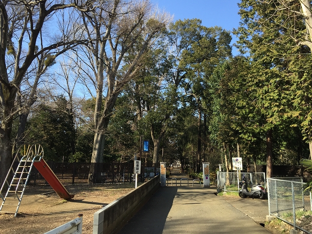 ダイアパレス目黒本町　周辺環境