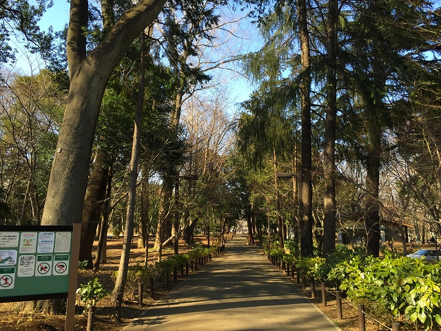 ダイアパレス目黒本町　周辺環境