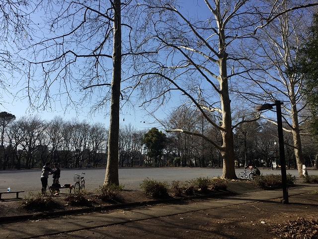 ダイアパレス目黒本町　周辺環境