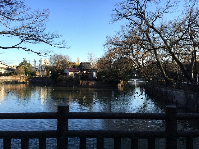 柿の木坂東豊エステート　周辺環境