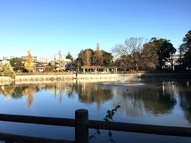 柿の木坂東豊エステート　周辺環境