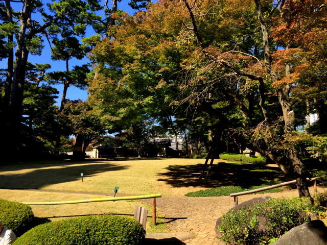 キャッスル荻窪　周辺環境