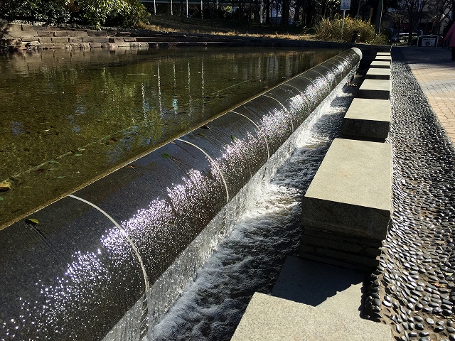 ライオンズマンション小石川植物園　周辺環境