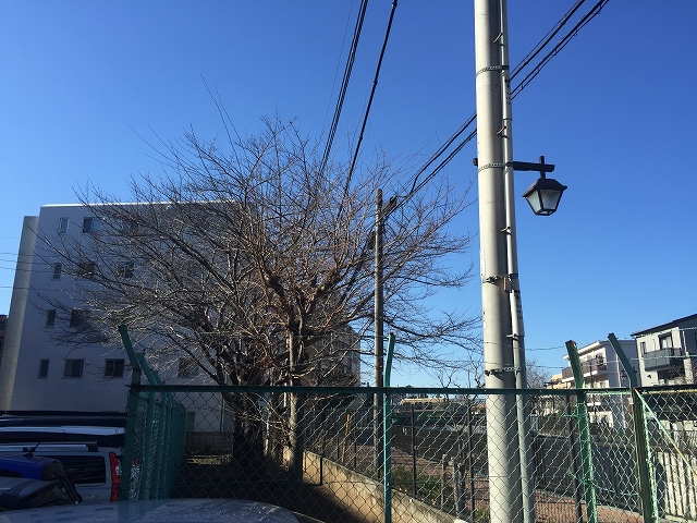 方南町ローヤルコーポ　駐車場