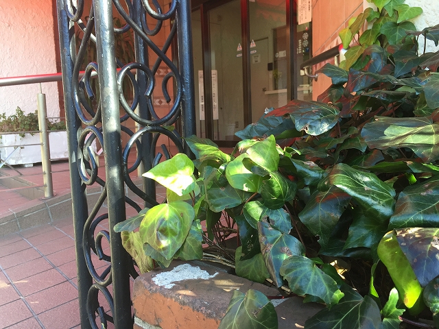 柿の木坂東豊エステート　エントランス