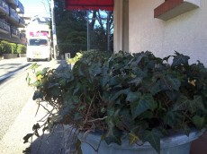 柿の木坂東豊エステート　エントランス