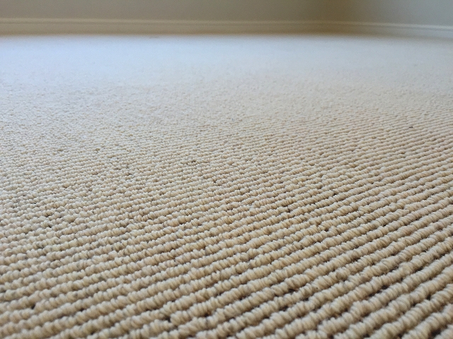 ハウス南経堂　北側洋室