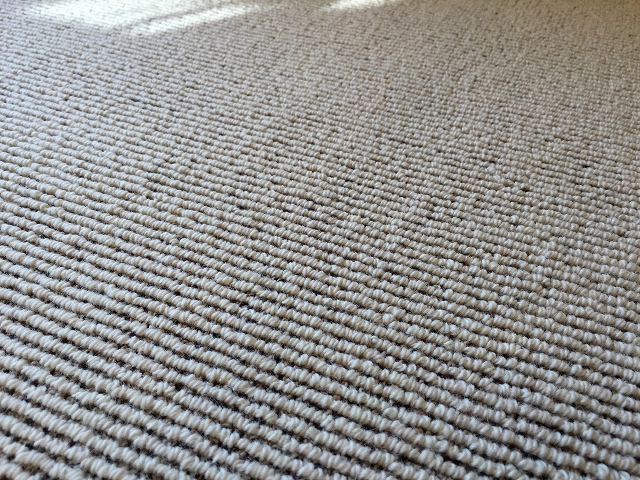 ハウス南経堂　リビングダイニング床