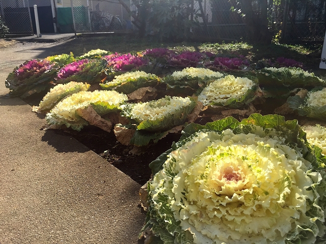 赤堤スカイマンション　周辺環境