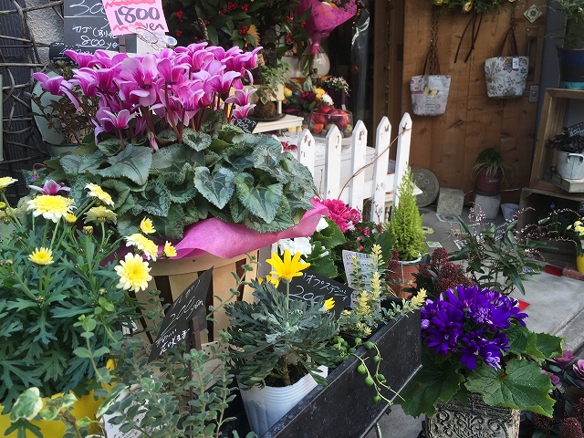 赤堤スカイマンション　周辺環境