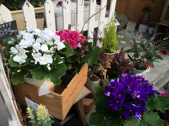 赤堤スカイマンション　周辺環境