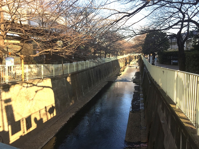 マイキャッスル高井戸　周辺環境